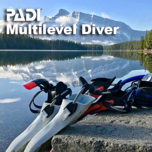 Multilevel Diver